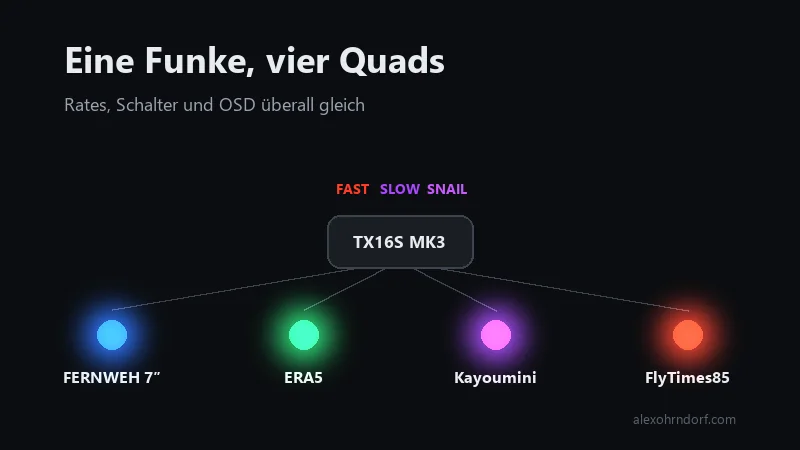 Eine Funke steuert vier FPV-Kopter